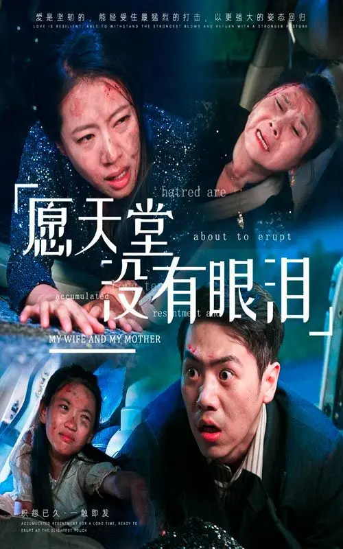 《愿天堂没有眼泪》：一部触及灵魂的救赎之歌，探讨爱与失去的深刻情感