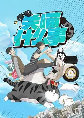 《关喵什么事》：一部让你笑出猫叫声的治愈喜剧？铲屎官必看，云养猫也能共鸣！